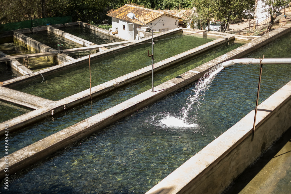Rustic outdoor pools of fish farm in Cazorla. Spain. Trout farming