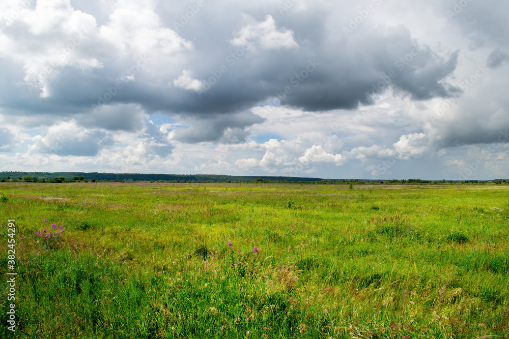 Landscape of nature. The image shows dramatic clouds, a field and a strip of forest.