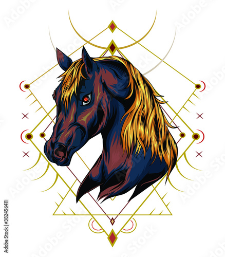 Tshirt design template. horse illustration vector.