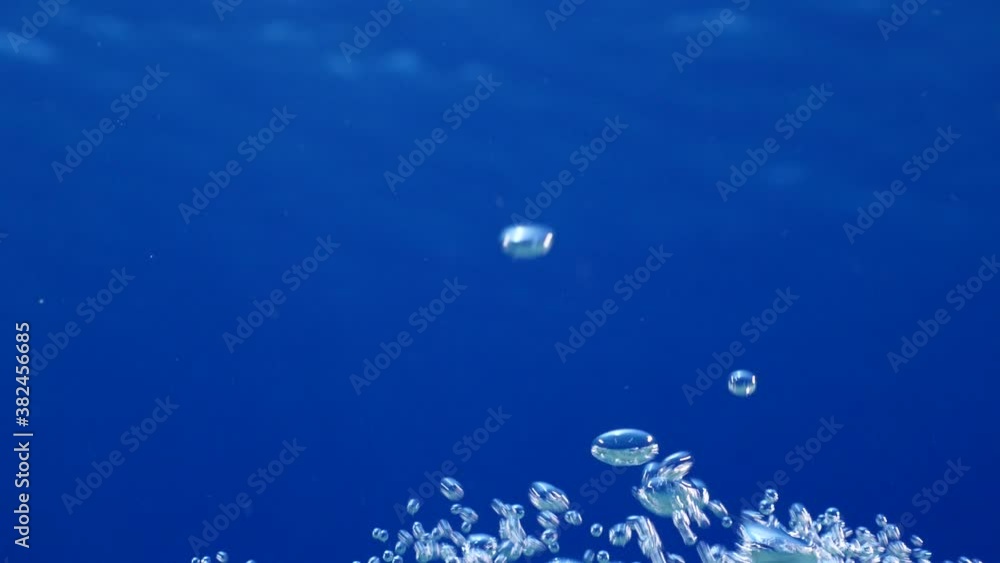 bubbles close up underwater some focused some defocused turning in ocean background scenery bubbles close up underwater some focused some defocused turning in ocean background scenery