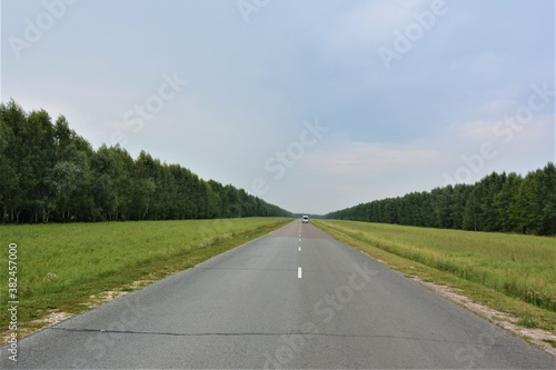 road in the forest