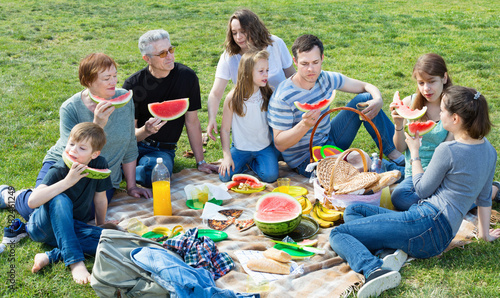 Cheerful smiling people of different ages sitting and talking on picnic