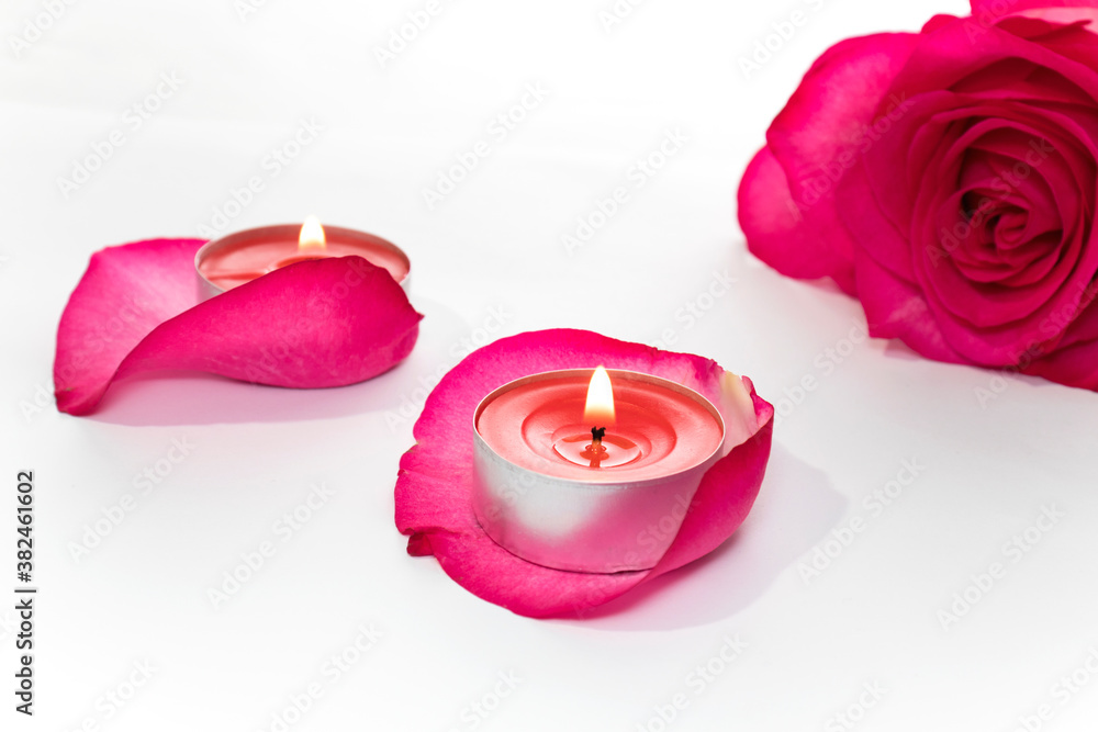 Beautiful pale pink rose with aroma candles on rose petal background