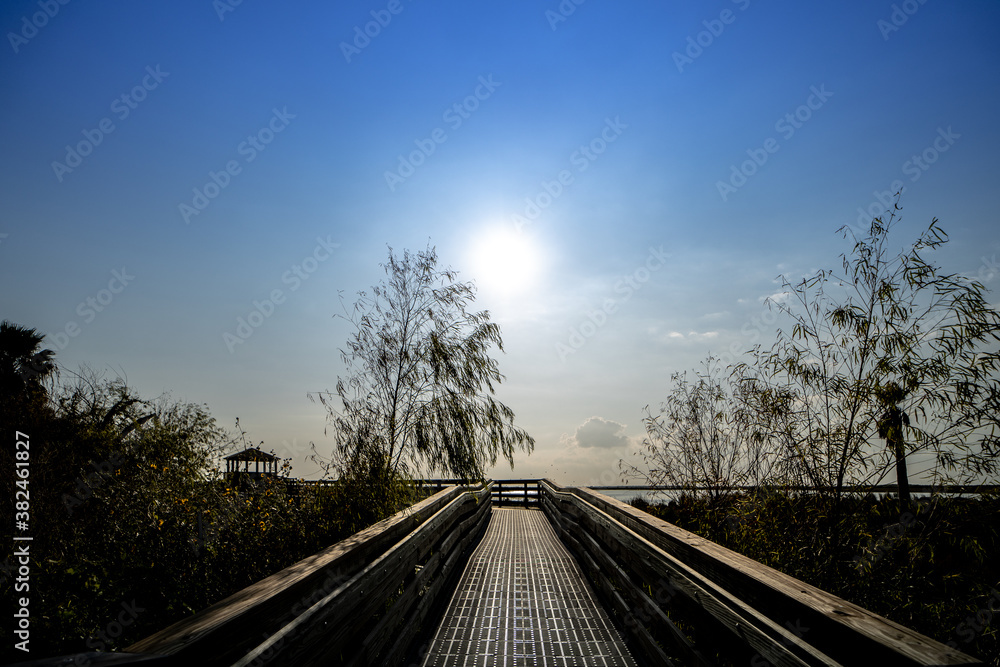 Fototapeta premium Bridge in the day