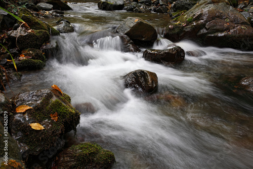 Mountain stream in forest with cascades