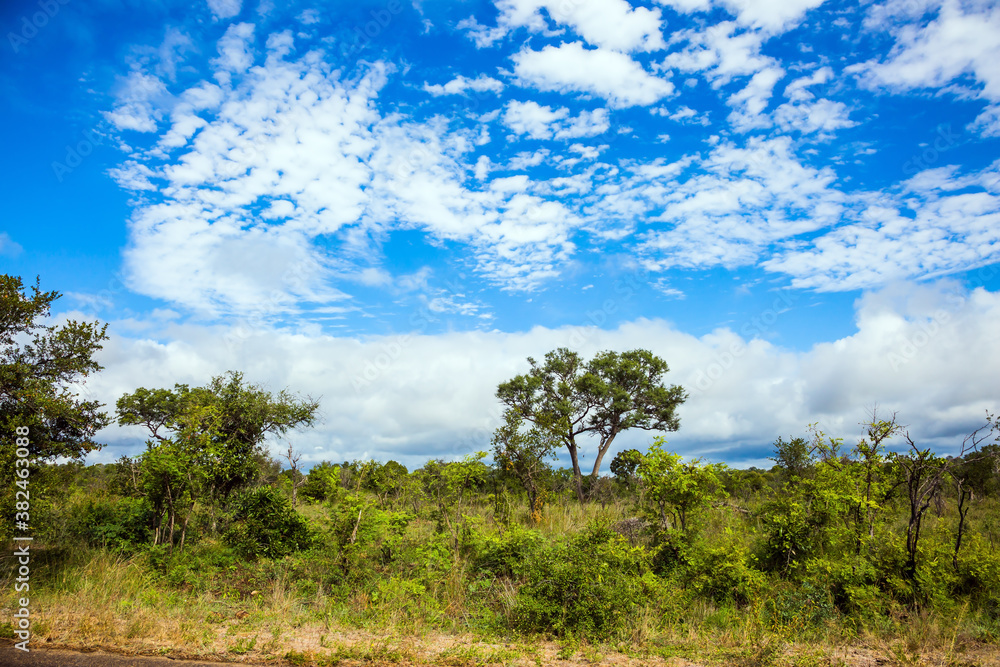 The famous Kruger Park