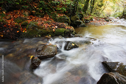 Mountain stream in forest with cascades