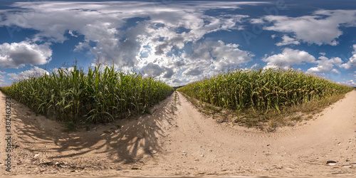 full seamless spherical hdri panorama 360 degrees angle view on gravel road among corn fields in autumn day with blue sky in equirectangular projection, ready for VR AR virtual reality content