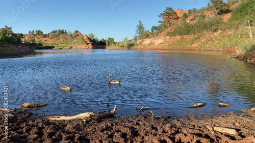 Lake in Red Rocks open space near Colorado Springs, CO. Ducks in the pond, swimming photo