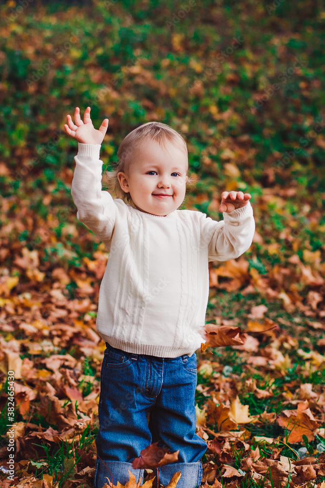 autumn photo session of a child in nature autumn photo session of a child in nature