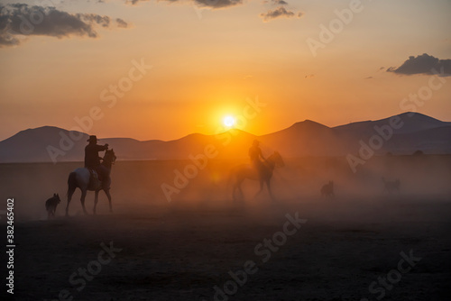 Wild horses run in foggy at sunset. Wild horses are running in dust. Near Hormetci Village  between Cappadocia and Kayseri  Turkey