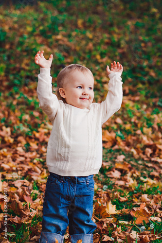 autumn photo session of a child in nature