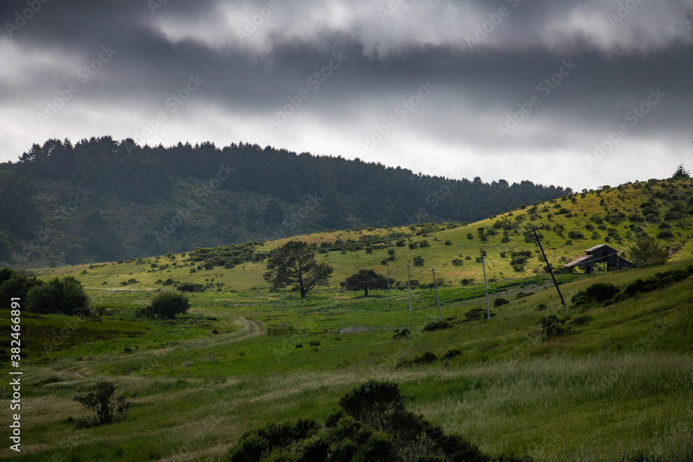 The scenic green hills of rural Pescadero, California