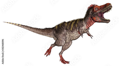 Tarbosaurus dinosaur roaring isolated in white background - 3D render