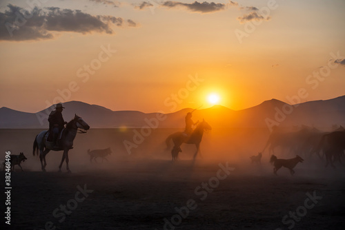 Wild horses run in foggy at sunset. Wild horses are running in dust. Near Hormetci Village, between Cappadocia and Kayseri, Turkey © attraction art