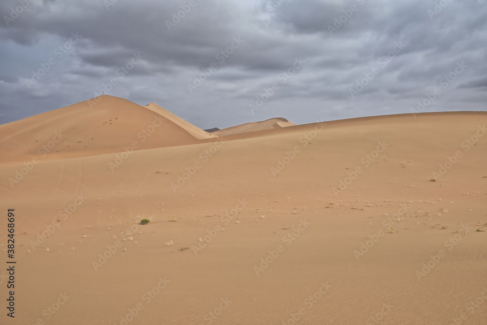 Moving and stationary sand dunes-Badain Jaran Desert. Alxa Plateau-Inner Mongolia-China-1062