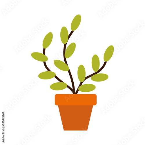 gardening concept, plant in a pot icon, flat style