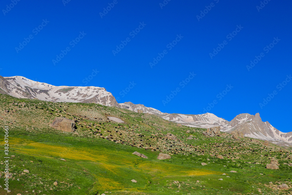 landscape with mountains landscape with mountains
