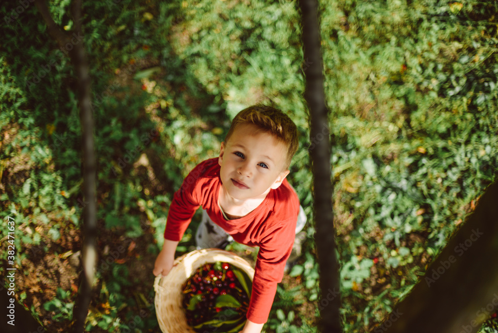 Kid is holding a cherries Kid is holding a cherries