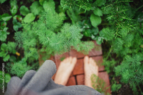 A woman stands amidst a garden full of herbs.