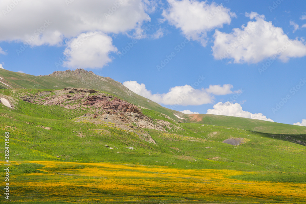 Fototapeta premium mountain landscape in summer