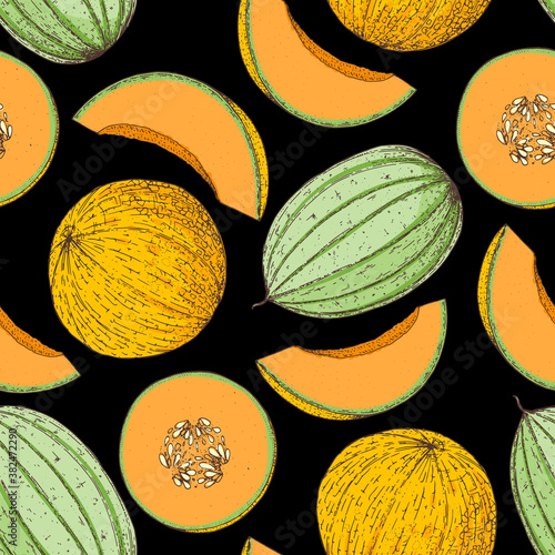 Seamless pattern with melon. Hand drawn background. Colorful illustration. Vector illustration. Melon slice.