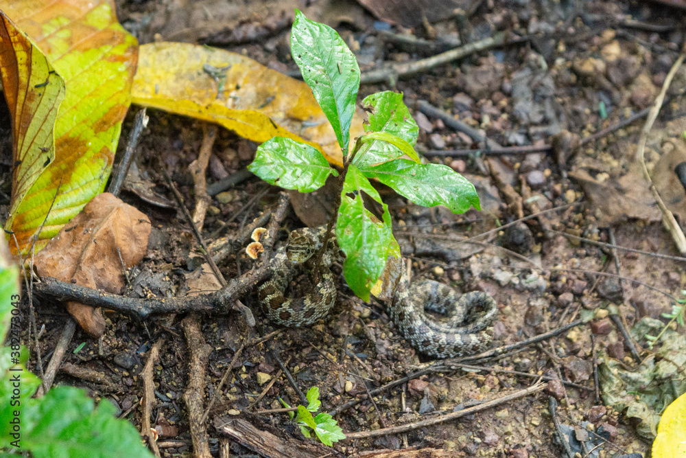 Fototapeta premium el convento