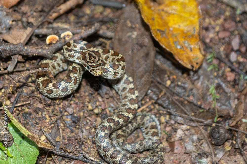 Fototapeta premium el convento