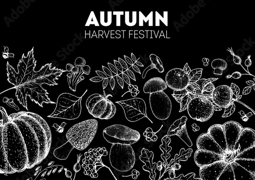 Harvest festival. Hello autumn sketch illustration. Hand drawn frame with fall leaves, pumpkins. Vector illustration. Thanksgiving design template. Sketch design.