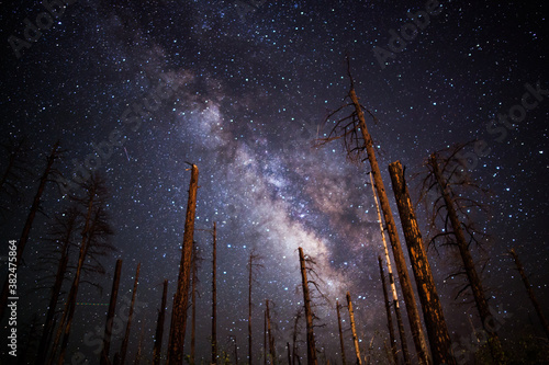 Hello Milky Way photo