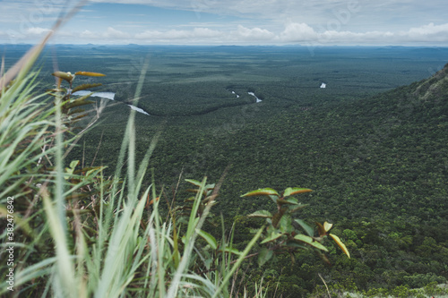 Amazon rainforest photo