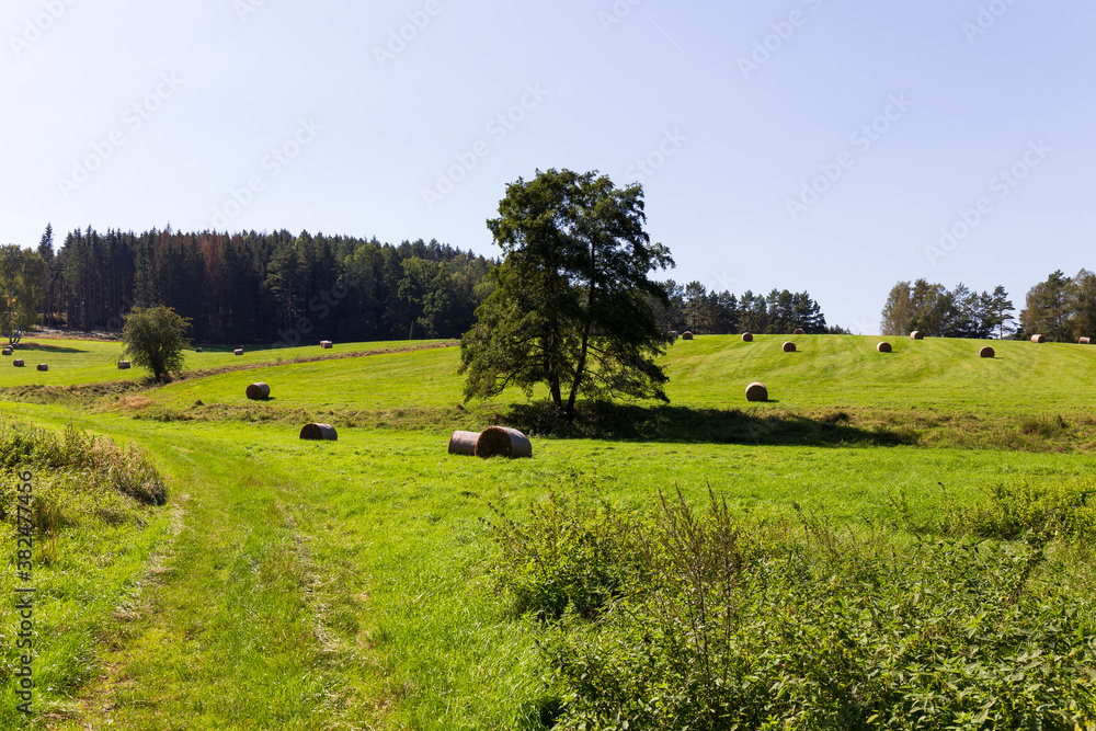 Fototapeta premium Late summer Landscape in the Czech Switzerland, Czech Republic