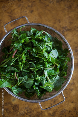 Colander full of fresh green edible leaves. photo