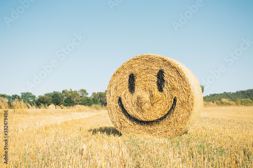 Smile face in a bale of straw photo