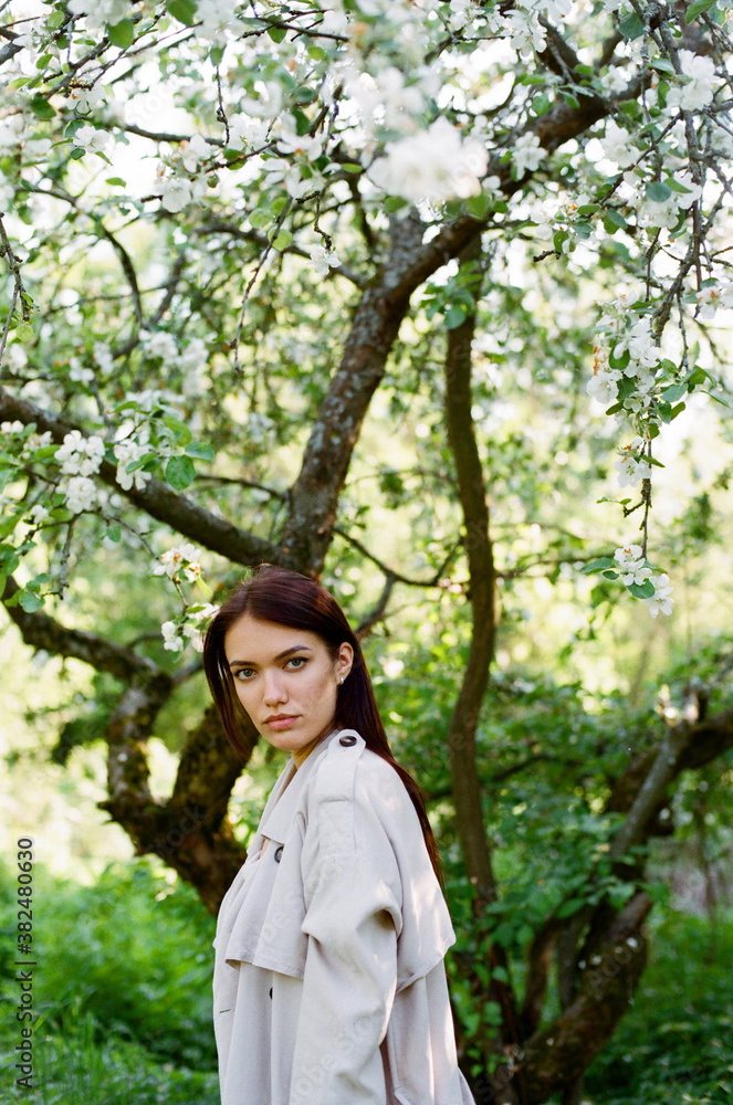 Young woman at apple tree in blossom Young woman at apple tree in blossom
