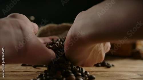 Roasted arabica coffee beans are scattered from female hands slowly. Jute bag, cezve, coffee grinder on the background. Freshly roasted grains fragrance. Expertise or cooking process. Close up