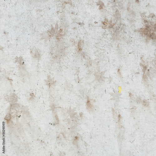 Carta da parati con effetto di cemento - Carta da parati Impression of Leaves on Sidewalk
