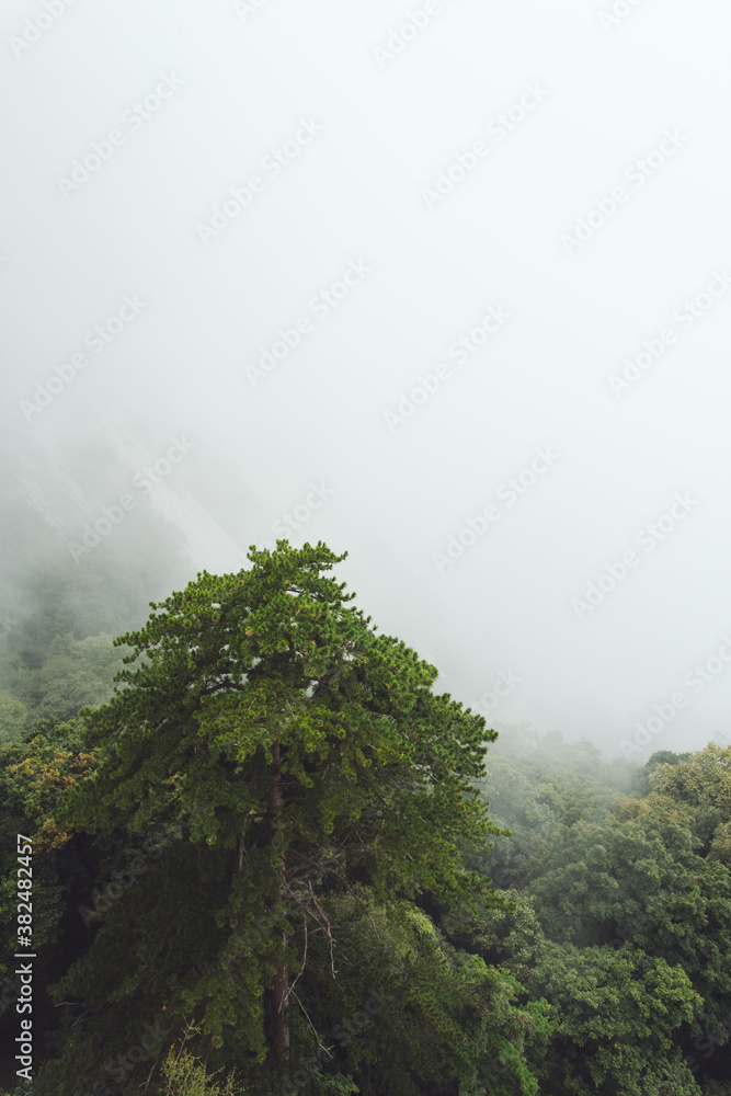 Huashan Mountain in the fog Huashan Mountain in the fog