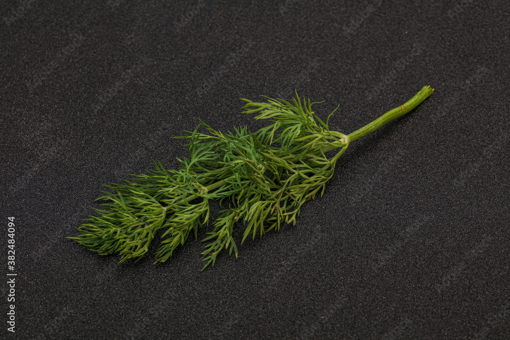 Aroma seasoning - Green Dill branch