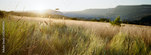 Morning Sun over the Valley photo