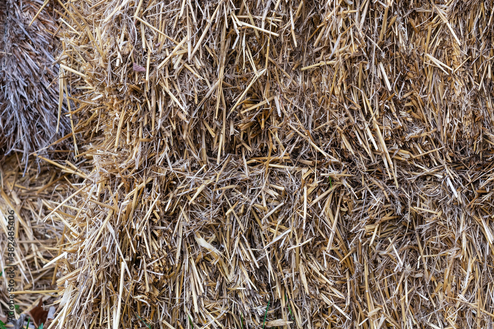 hay background dried grass brown, pattern of traditional and natural livestock feed hay background dried grass brown, pattern of traditional and natural livestock feed