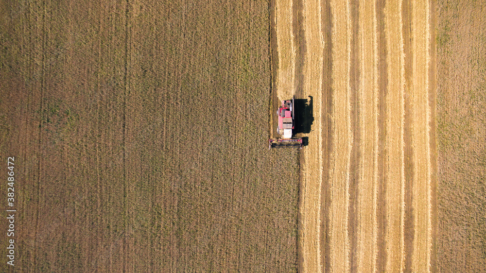 Tractor collect hay on field Tractor collect hay on field