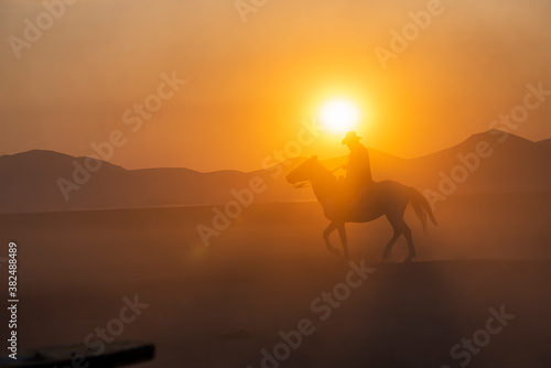 Wild horses run in foggy at sunset. Wild horses are running in dust. Near Hormetci Village, between Cappadocia and Kayseri, Turkey