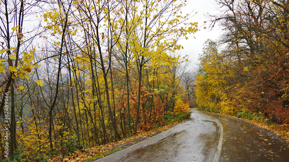 Obraz premium road in autumn