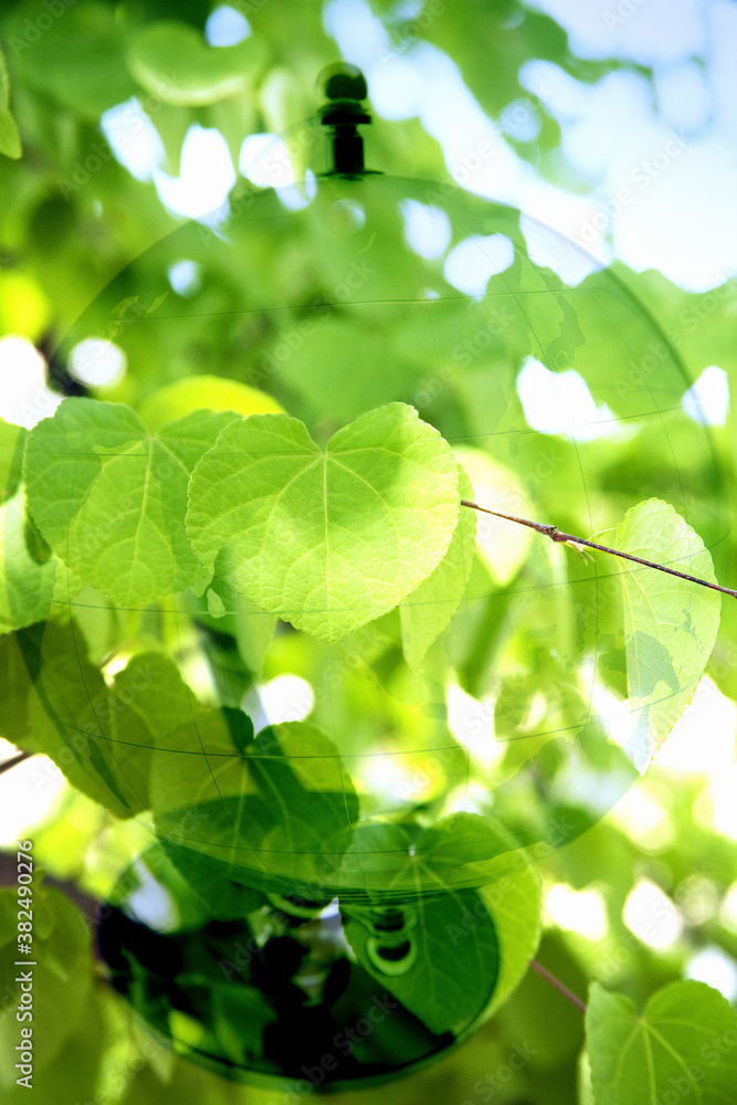 Obraz premium エコロジー