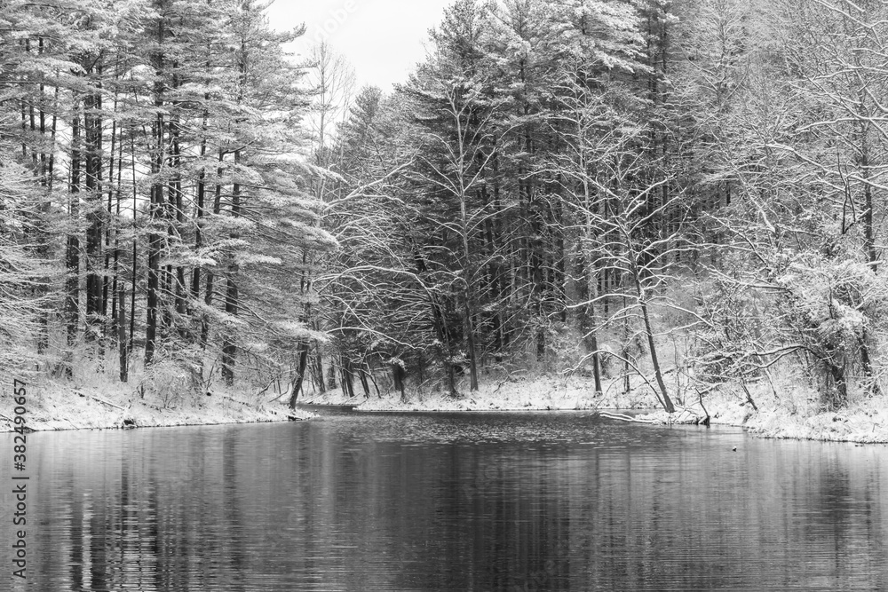 Strip Mine Lake in winter pair