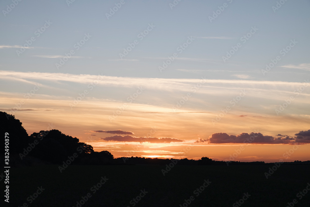 custom made wallpaper toronto digitalClear sky and trees on the horizon at sunset. Norfolk, UK.