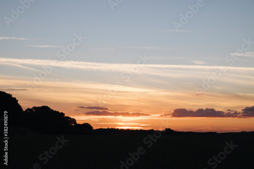 Wallpaper Mural Clear sky and trees on the horizon at sunset. Norfolk, UK. Torontodigital.ca