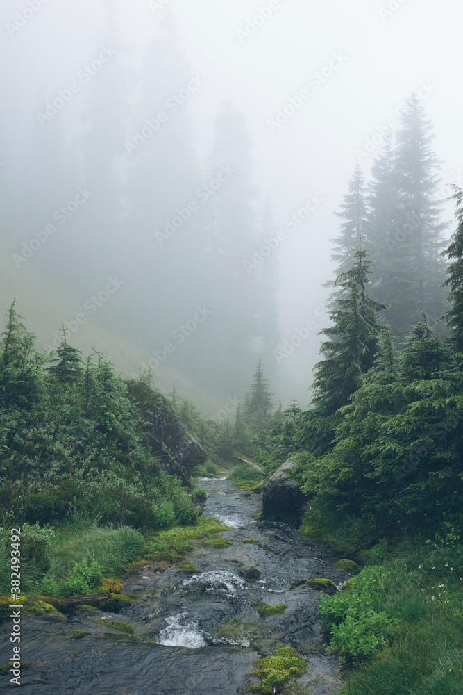 Clouds lifting over lush alpine mountains, small stream in foreground Clouds lifting over lush alpine mountains, small stream in foreground