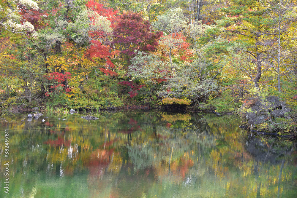 水面に映る紅葉 水面に映る紅葉